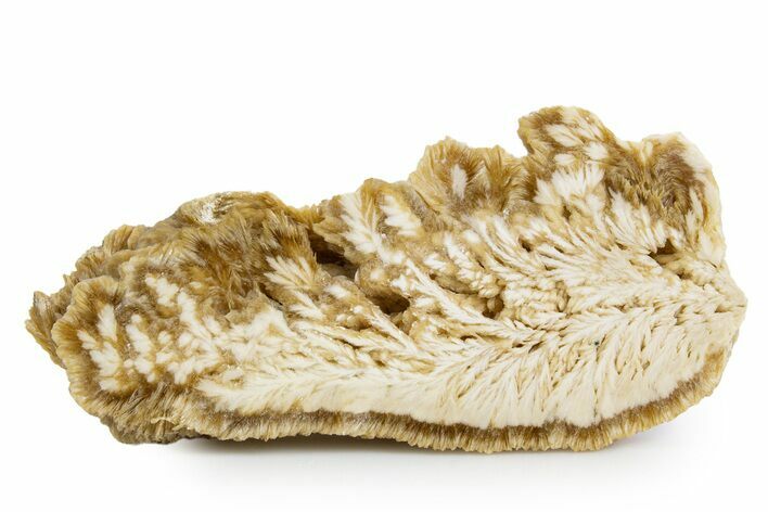 Polished Barite Slab - Lubin Mine, Poland #346202